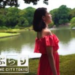 Rikugien Gardens, Jizo Dori Shopping St. / Komagome-Sugamo(駒込～巣鴨)