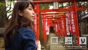 Mejiro-Ikebukuro (目白〜池袋〜雑司が谷)Tokyo,Japan