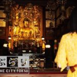 Jiyugaoka (自由が丘エリア) Tokyo,Japan