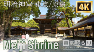 新しいコンテンツがスタート!